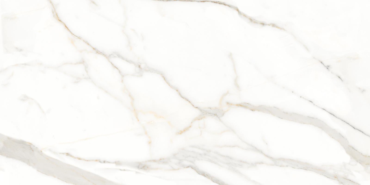 ARTIC WHITE-4