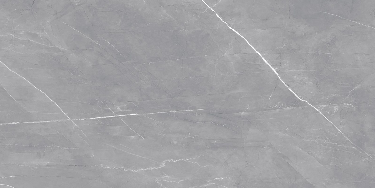 MONTANA FOSSIL-1